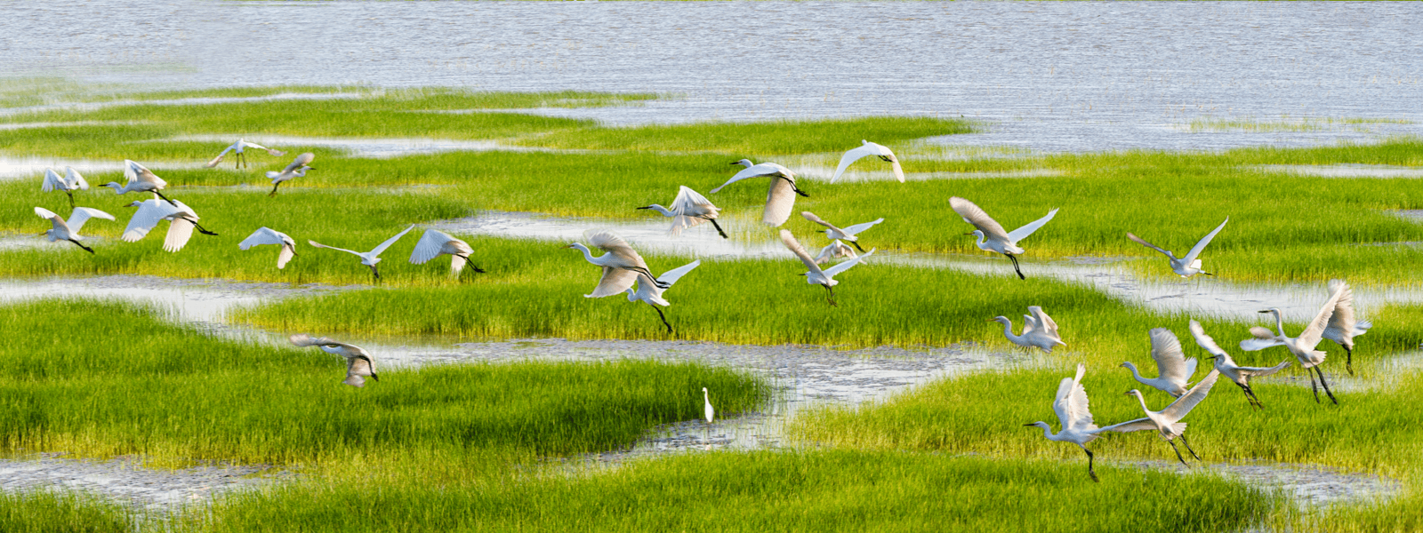 生態(tài)優(yōu)先、綠色發(fā)展